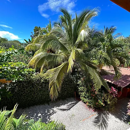 The Inner Light Yoga Lodge